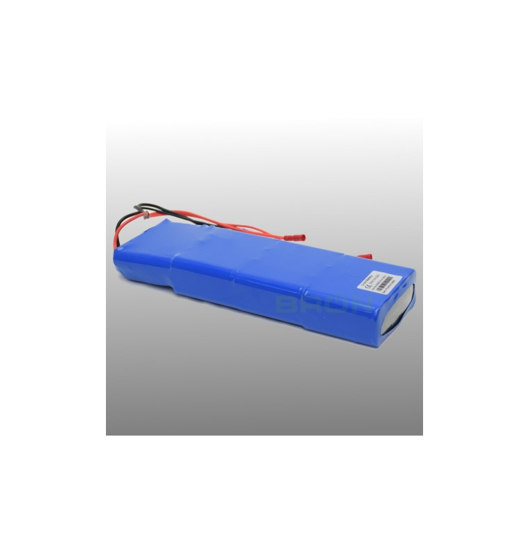 Revisiepack 37 volt 11,2Ah Fietsaccu Batavus, Stella Li-ion